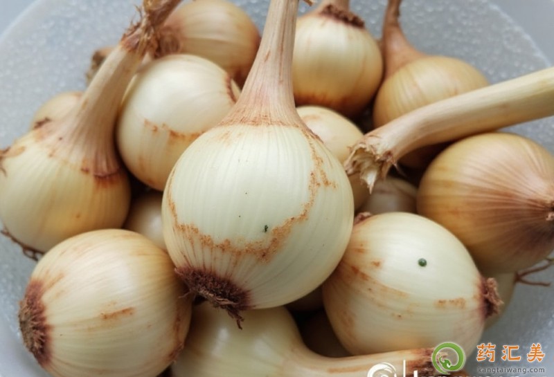 �����׿��ԳԴĹ���