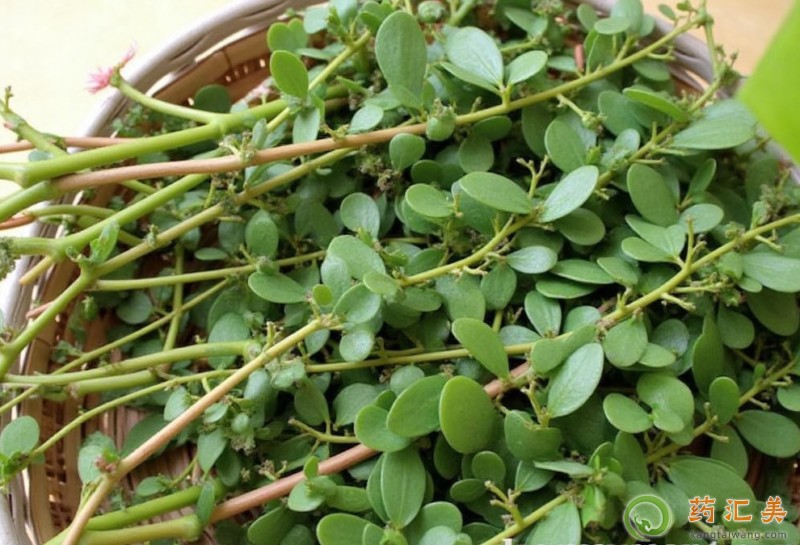 �����Ȳ��ܺ�ʲôһ���