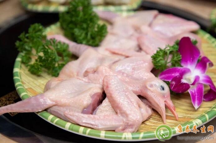 胰腺炎能吃鸽子吗