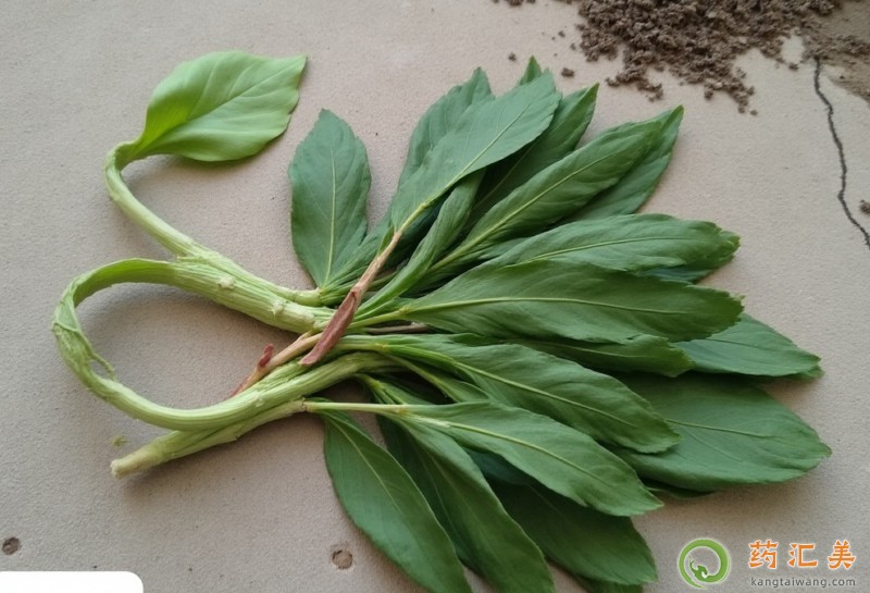 �����׿��Գ���������