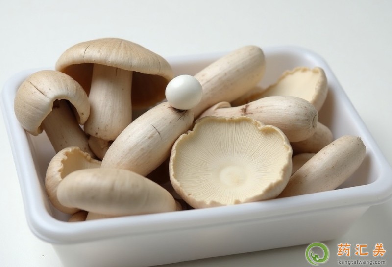 �����׿��ԳԷ�β����