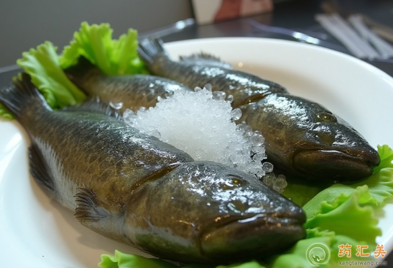 �����׿��Գ�����ʯ������