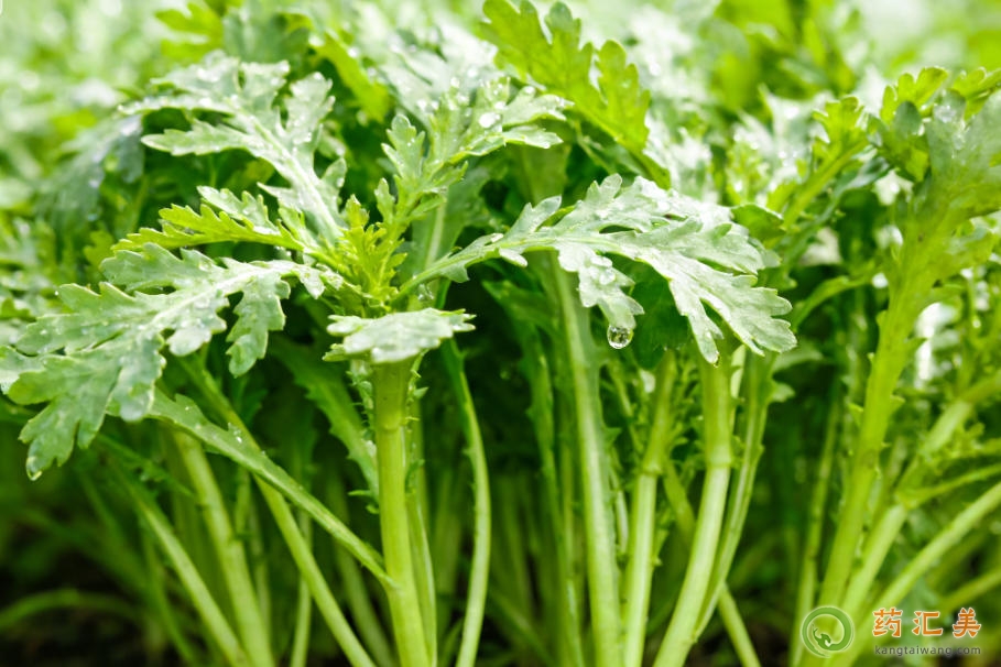 �����׳�Ժ1�������˿��Գ�������