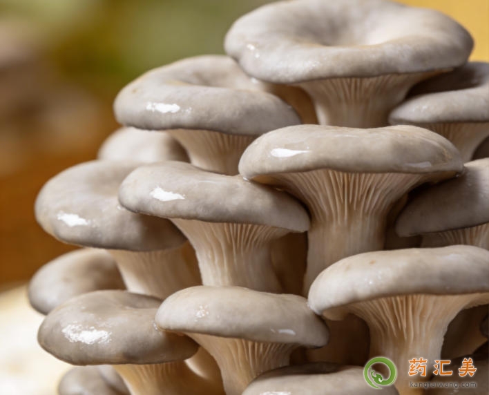 �����׿��Գ�ƽ����