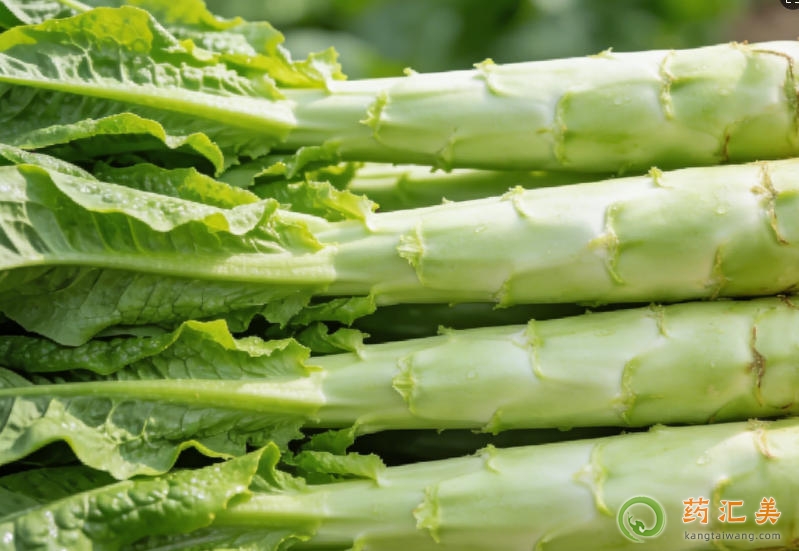 �����׻ָ����ܳ�ݫ����