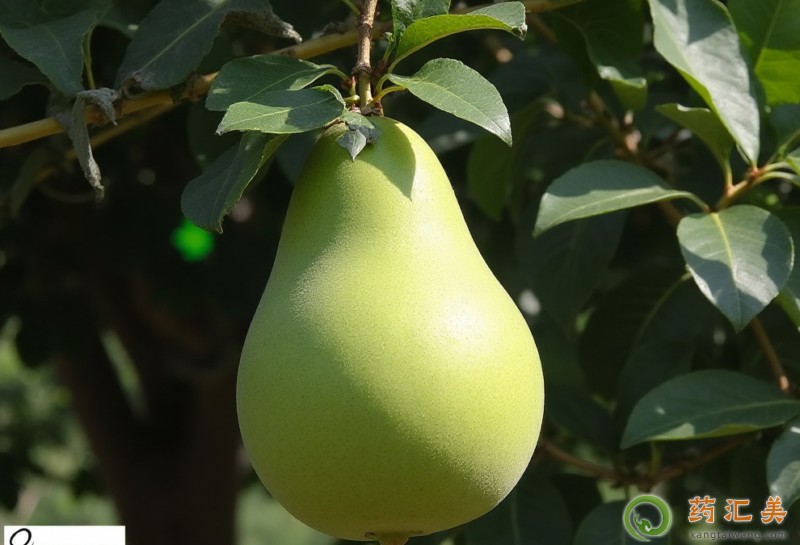 �������ܲ��ܳ�����