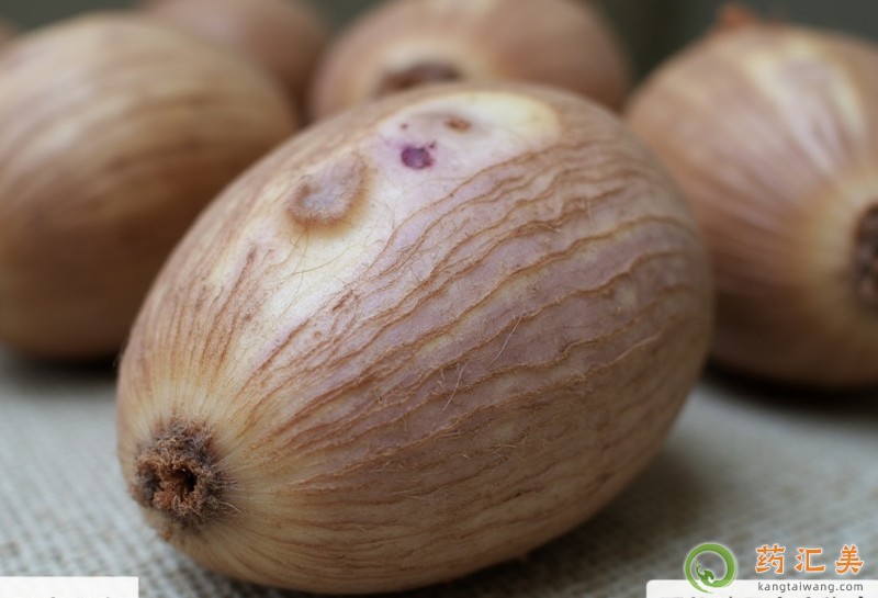 �����׿��Գ���ͷ��