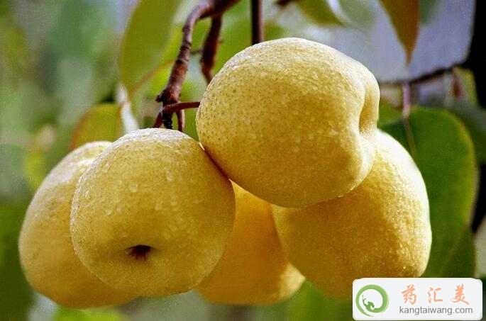 ׻ָڿԳ