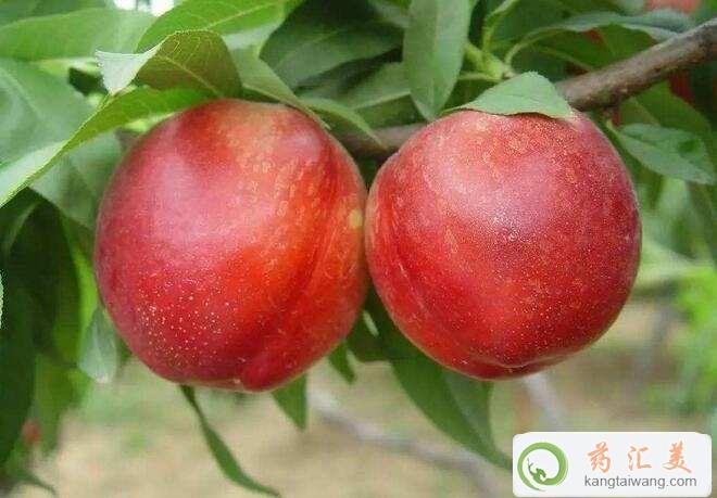 ׿Գ