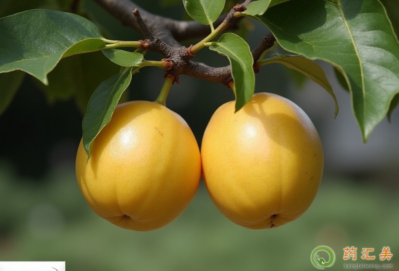 �������ܲ��ܳ���