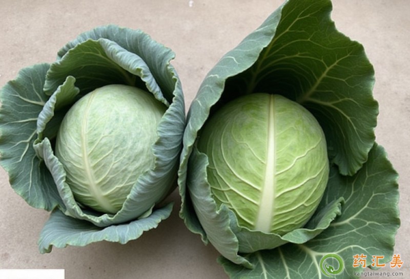 胰腺炎恢复期可以吃大头菜吗 胰腺炎恢复期可以吃大头菜吗