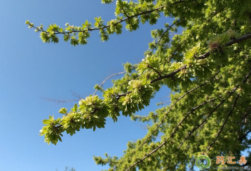 �����׿��Գ���Ǯ��