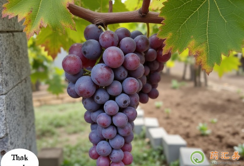 �����׿��Գ�õ����������