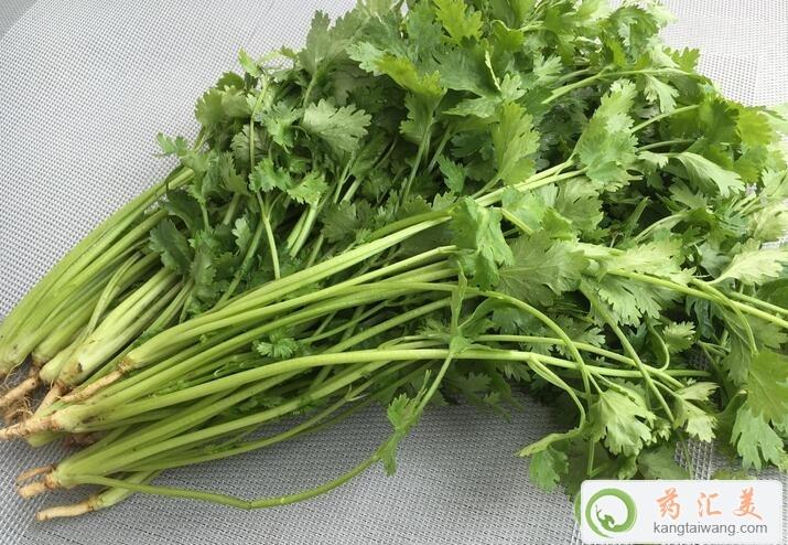 胰腺炎能吃香菜吗 胰腺炎能吃香菜吗