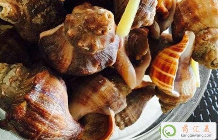 红螺和什么食物相克不能一起吃 红螺和什么食物相克不能一起吃