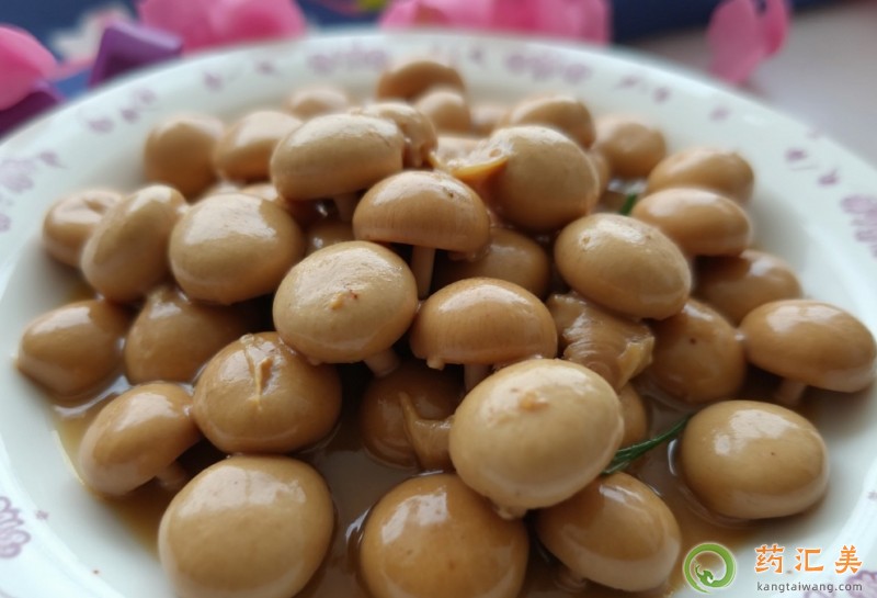�����׻ָ����ܳԿ�Ģ��