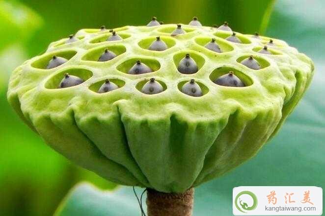 ׻ָܳ