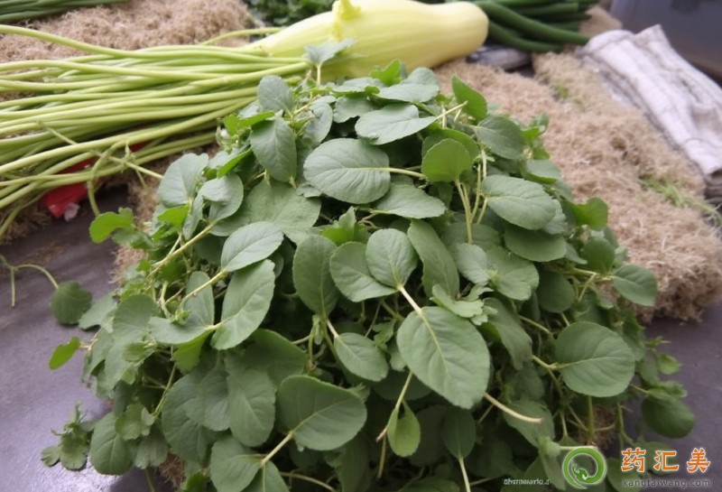 �����׿��Գ�ˮ�۲���