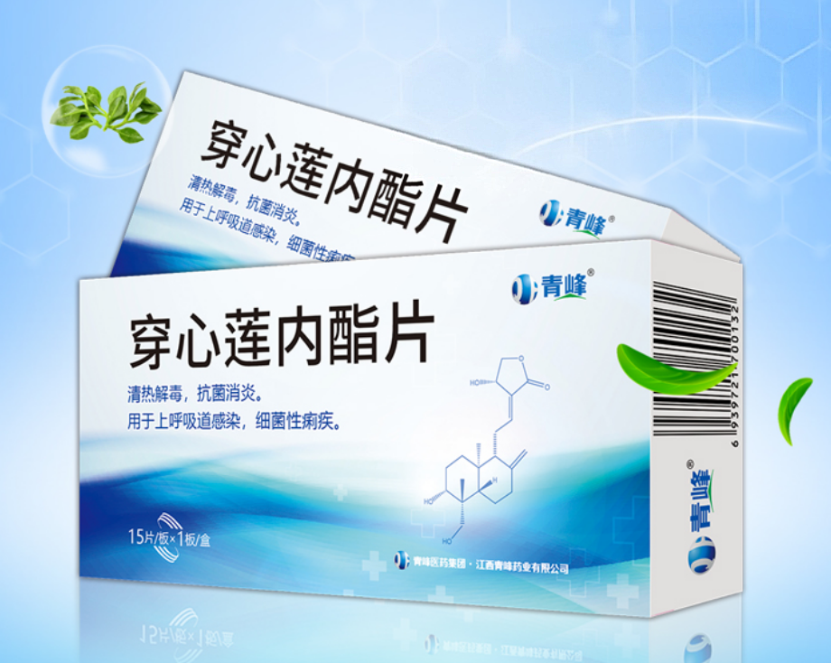 ����������Ƭ